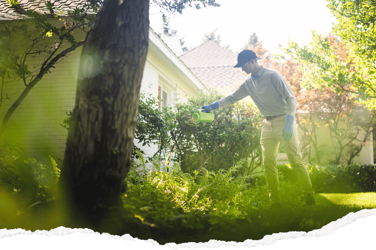 GREENIX Homepage Option 3